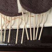 ヒメ日記 2026/01/14 09:33 投稿 みさ 熟女の風俗最終章 本厚木店