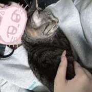 ヒメ日記 2025/06/06 22:43 投稿 ゆん 花火-hanabi-(すすきの)