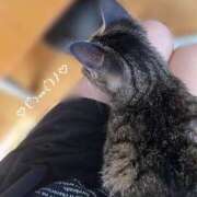 ヒメ日記 2025/10/20 00:57 投稿 ゆん 花火-hanabi-(すすきの)