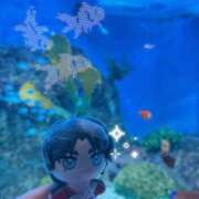 ヒメ日記 2026/06/13 23:53 投稿 ゆん 花火-hanabi-(すすきの)