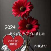 ヒメ日記 2024/12/31 23:42 投稿 四葉(よつば)奥様 金沢の20代30代40代50代が集う人妻倶楽部