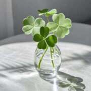 ヒメ日記 2025/02/10 14:48 投稿 四葉(よつば)奥様 金沢の20代30代40代50代が集う人妻倶楽部