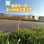 ヒメ日記 2025/03/23 22:03 投稿 四葉(よつば)奥様 金沢の20代30代40代50代が集う人妻倶楽部