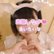 ヒメ日記 2025/03/26 08:33 投稿 四葉(よつば)奥様 金沢の20代30代40代50代が集う人妻倶楽部