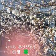 ヒメ日記 2025/04/05 11:18 投稿 四葉(よつば)奥様 金沢の20代30代40代50代が集う人妻倶楽部