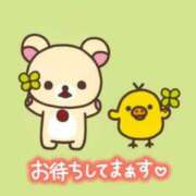 ヒメ日記 2025/06/02 16:12 投稿 四葉(よつば)奥様 金沢の20代30代40代50代が集う人妻倶楽部