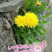 ヒメ日記 2025/06/22 23:48 投稿 四葉(よつば)奥様 金沢の20代30代40代50代が集う人妻倶楽部