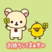 ヒメ日記 2025/07/14 08:51 投稿 四葉(よつば)奥様 金沢の20代30代40代50代が集う人妻倶楽部