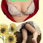 ヒメ日記 2025/07/16 08:51 投稿 四葉(よつば)奥様 金沢の20代30代40代50代が集う人妻倶楽部