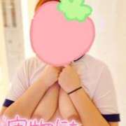 さくら GWのご予定は？ スッキリ！！日本橋店