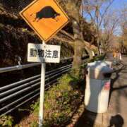 ヒメ日記 2025/11/26 20:00 投稿 せいな 奥鉄オクテツ東京店（デリヘル市場）