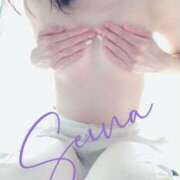 ヒメ日記 2026/01/07 10:40 投稿 せいな 奥鉄オクテツ東京店（デリヘル市場）