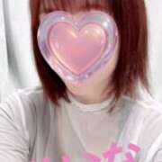 ヒメ日記 2026/01/28 21:00 投稿 せいな 奥鉄オクテツ東京店（デリヘル市場）