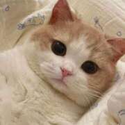 ヒメ日記 2025/03/03 21:23 投稿 るあ 横浜しこたまクリニック