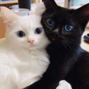 るあ しゅっ𓂃♡.· 横浜しこたまクリニック