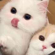 るあ しゅっ𓂃♡.· 横浜しこたまクリニック