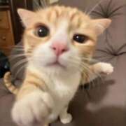 るあ しゅっ𓂃♡.· 横浜しこたまクリニック