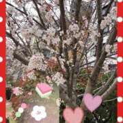 ヒメ日記 2025/04/02 19:28 投稿 もえみ 熟女家 堺東店