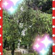 ヒメ日記 2025/05/04 09:59 投稿 もえみ 熟女家 堺東店