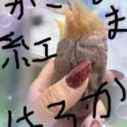 ヒメ日記 2026/03/17 18:39 投稿 もえみ 熟女家 堺東店