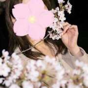 ヒメ日記 2026/04/09 10:28 投稿 もえみ 熟女家 堺東店