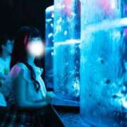 ヒメ日記 2025/09/01 01:00 投稿 ゆず☆ロリ爆乳の極み乙女 シャブール