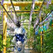 ヒメ日記 2025/09/25 17:54 投稿 ゆず☆ロリ爆乳の極み乙女 シャブール