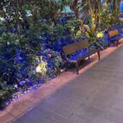 ヒメ日記 2025/04/21 12:17 投稿 みえ 横浜シンデレラ（シンデレラグループ）