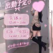 ヒメ日記 2026/09/18 10:29 投稿 みえ 横浜シンデレラ（シンデレラグループ）