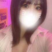 ヒメ日記 2025/02/10 21:00 投稿 ねね みつばちマーヤZ