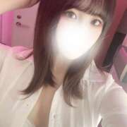 ヒメ日記 2025/04/06 01:11 投稿 ねね みつばちマーヤZ