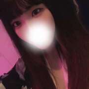 ヒメ日記 2025/05/24 21:48 投稿 ねね みつばちマーヤZ