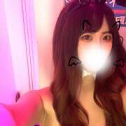 ヒメ日記 2025/06/06 19:13 投稿 ねね みつばちマーヤZ