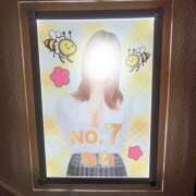 ヒメ日記 2025/09/07 01:33 投稿 ねね みつばちマーヤZ