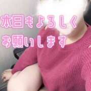 ヒメ日記 2025/02/19 09:58 投稿 晃実(てるみ) PLUS十三店