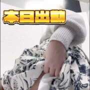 ヒメ日記 2025/04/01 08:48 投稿 晃実(てるみ) PLUS十三店