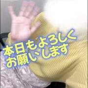 ヒメ日記 2025/04/10 09:58 投稿 晃実(てるみ) PLUS十三店