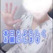 ヒメ日記 2025/07/12 09:48 投稿 晃実(てるみ) PLUS十三店