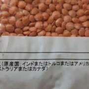 ヒメ日記 2025/08/24 13:38 投稿 晃実(てるみ) PLUS十三店