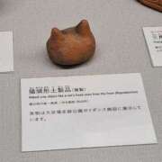 ヒメ日記 2025/08/25 11:38 投稿 晃実(てるみ) PLUS十三店