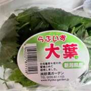 ヒメ日記 2025/08/28 15:32 投稿 晃実(てるみ) PLUS十三店