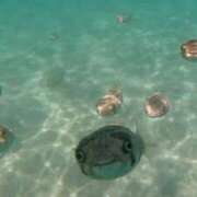 ヒメ日記 2025/09/14 09:10 投稿 晃実(てるみ) PLUS十三店