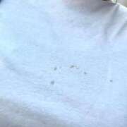 ヒメ日記 2025/11/02 23:18 投稿 晃実(てるみ) PLUS十三店