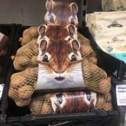 ヒメ日記 2025/12/01 20:08 投稿 晃実(てるみ) PLUS十三店