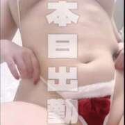 ヒメ日記 2025/12/03 08:38 投稿 晃実(てるみ) PLUS十三店