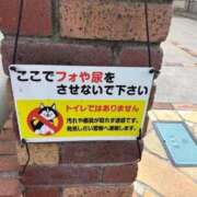 ヒメ日記 2026/01/15 22:34 投稿 晃実(てるみ) PLUS十三店