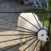 ヒメ日記 2026/01/17 20:28 投稿 晃実(てるみ) PLUS十三店