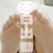 ヒメ日記 2026/02/02 08:38 投稿 晃実(てるみ) PLUS十三店