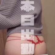 ヒメ日記 2026/02/09 08:38 投稿 晃実(てるみ) PLUS十三店