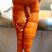 ヒメ日記 2026/02/10 15:58 投稿 晃実(てるみ) PLUS十三店